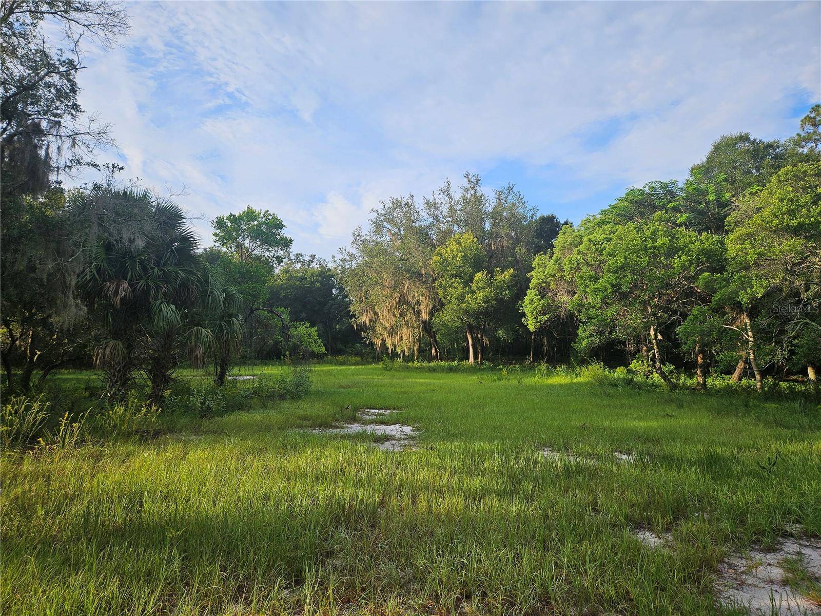 SNOW HILL RD RD, Geneva, FL 32732