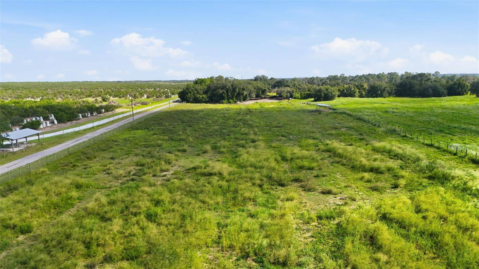 MAMMOTH GROVE RD, Lake Wales, FL 33898