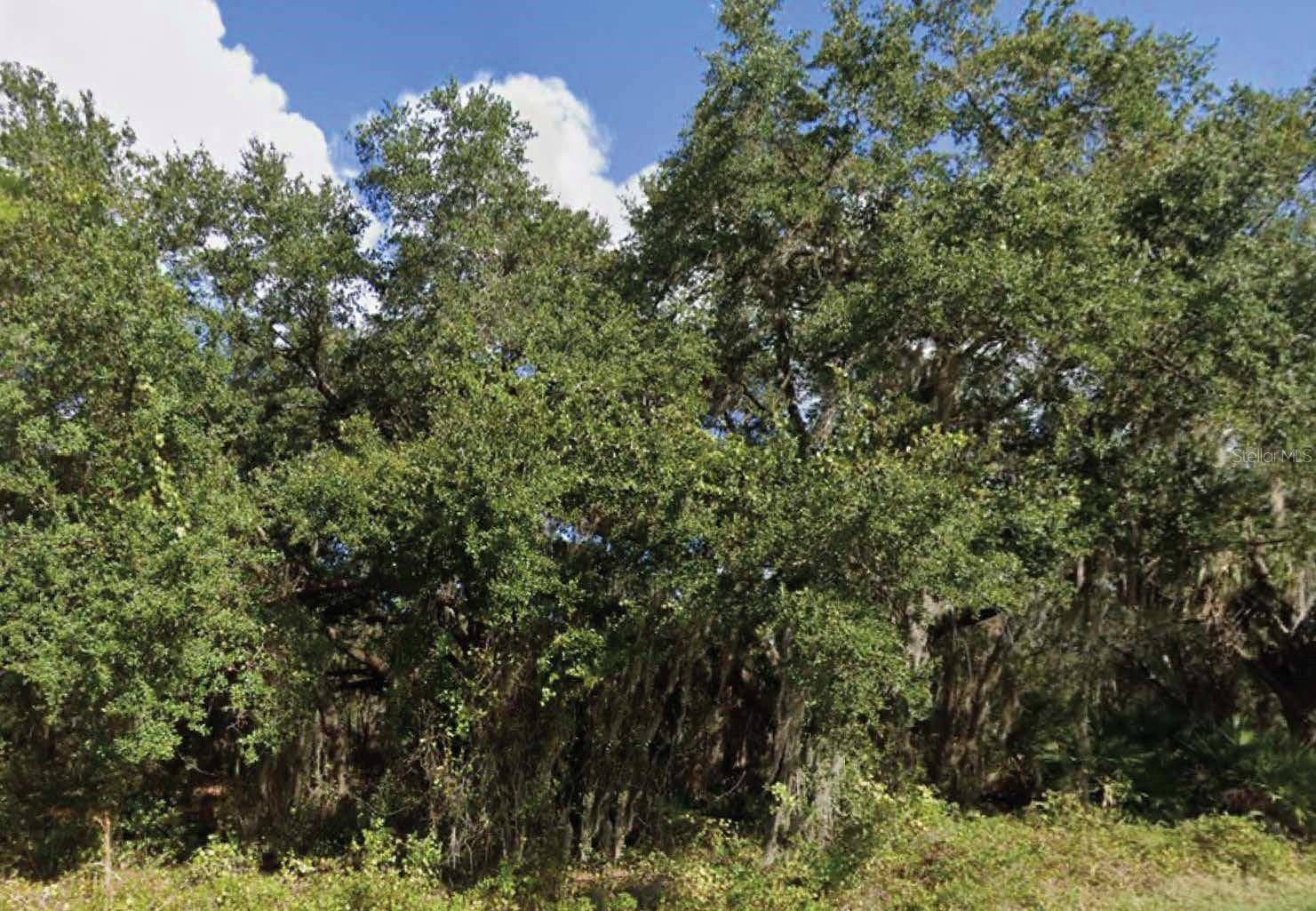 0 MINEOLA DR, Indian Lake Estates, FL 33855