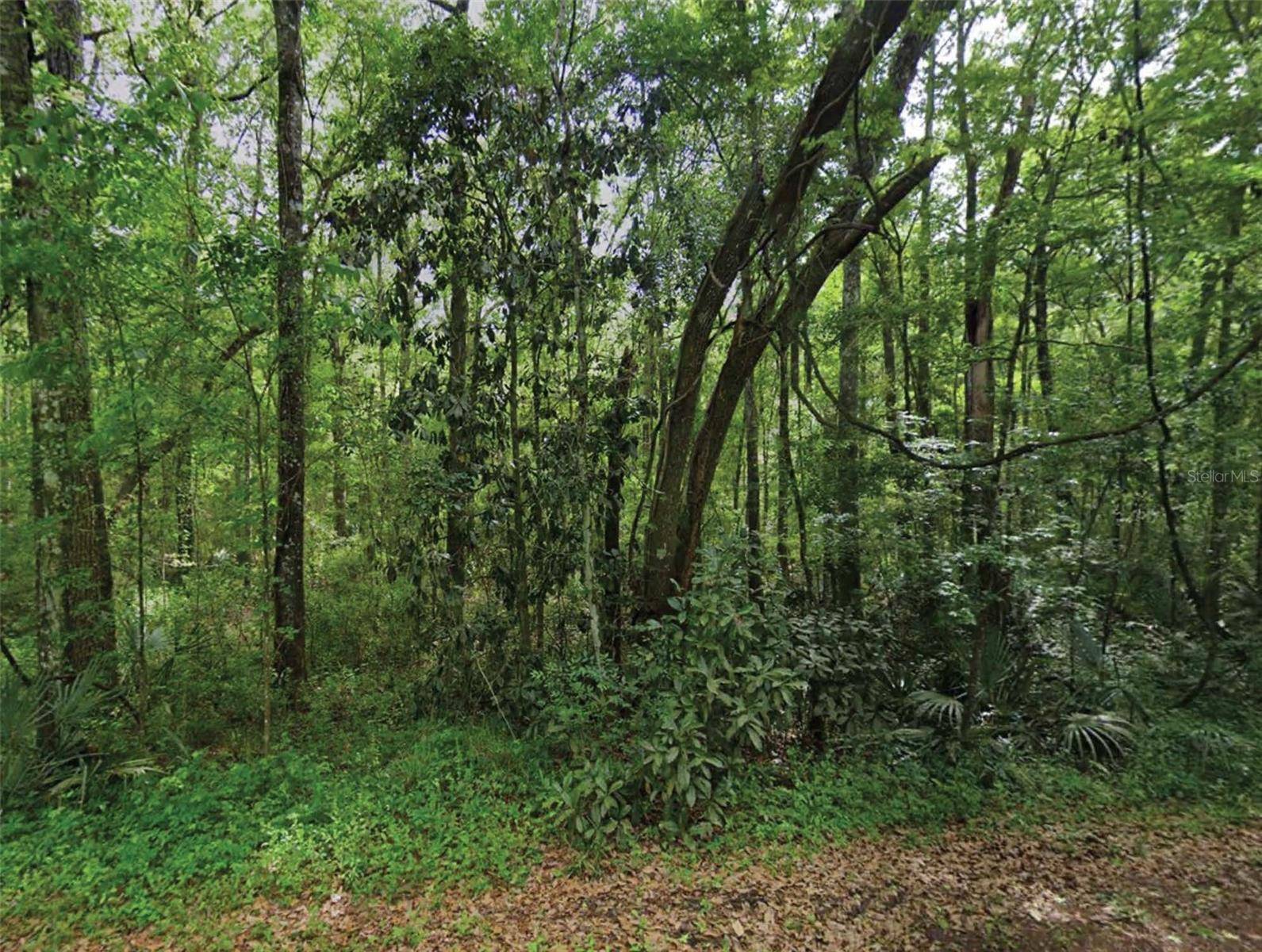 SCENIC DR, Middleburg, FL 32068