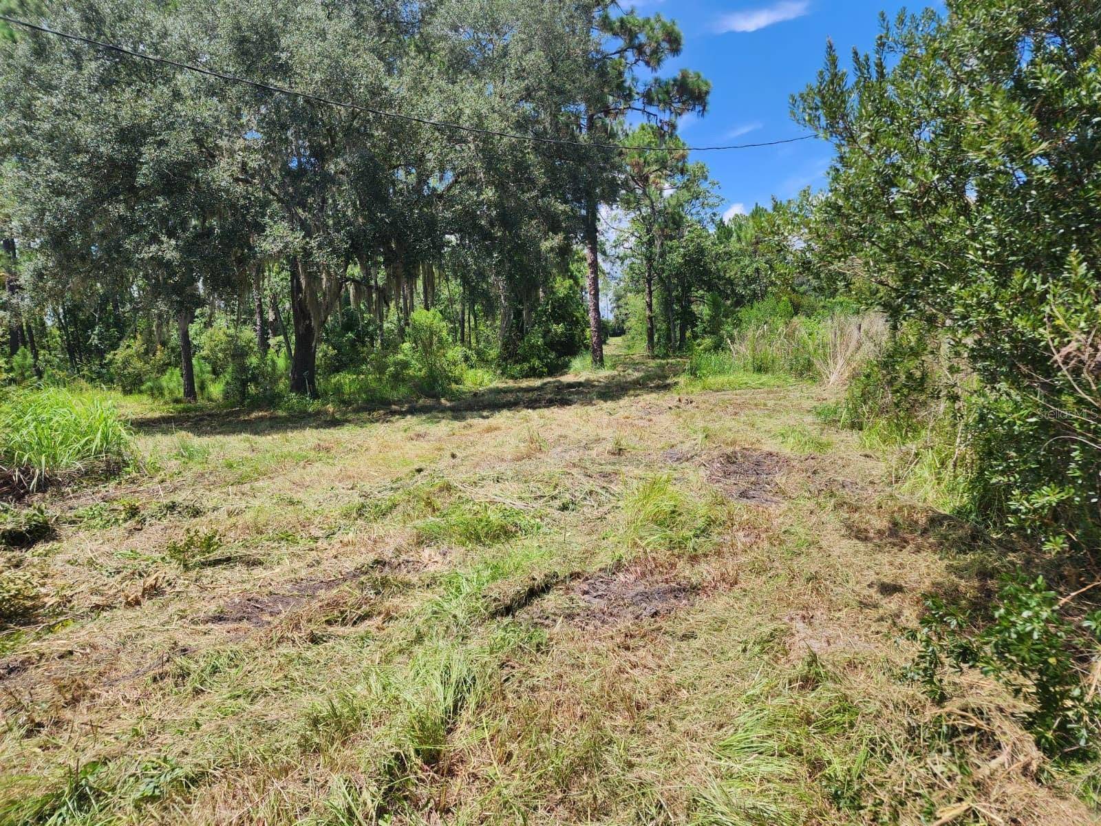 7244 GROVELAND FARMS RD, Groveland, FL 34736