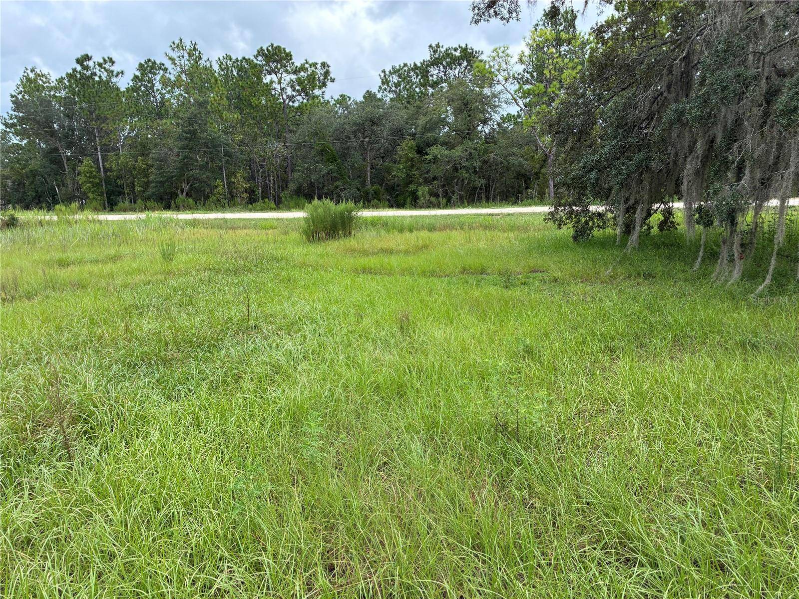 8549 SW 136TH TER, Dunnellon, FL 34432