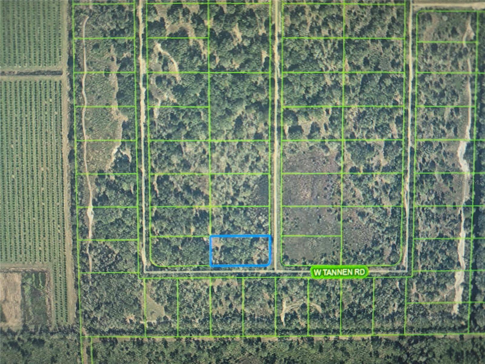3300 W TANNEN RD, Avon Park, FL 33825