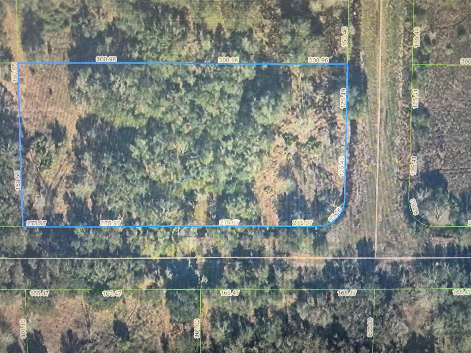 3300 W TANNEN RD, Avon Park, FL 33825