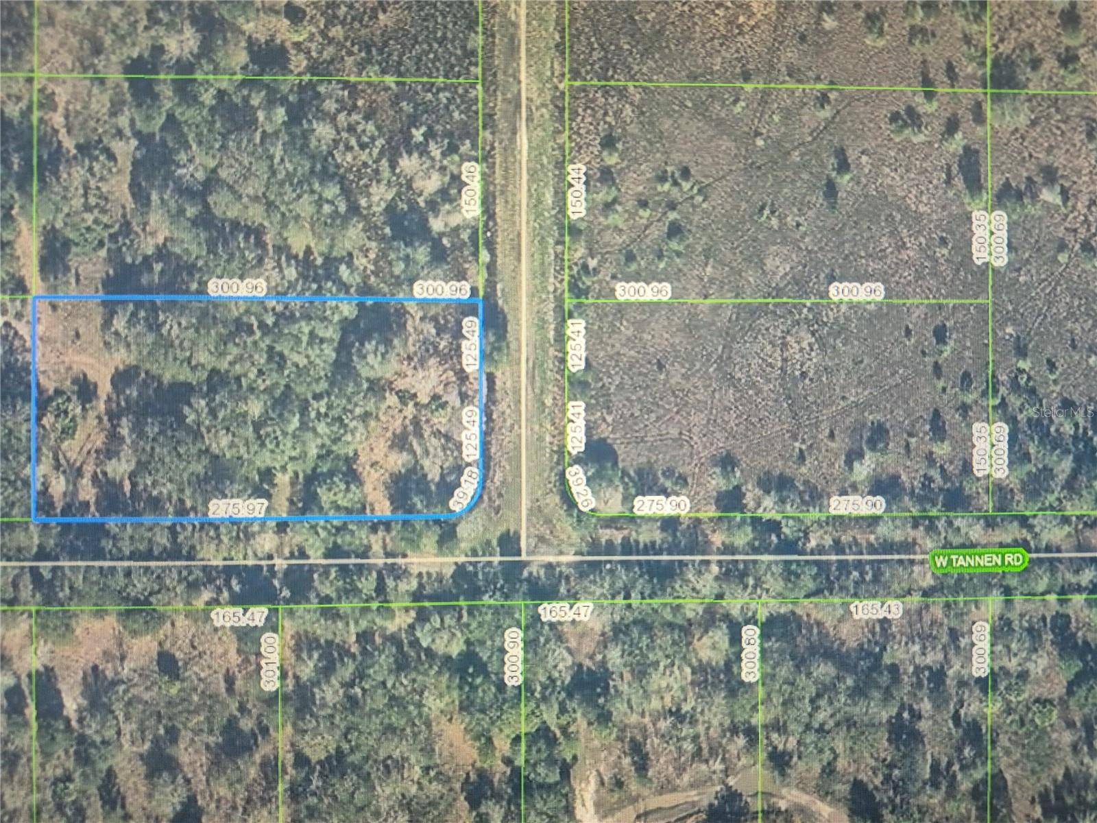 3300 W TANNEN RD, Avon Park, FL 33825
