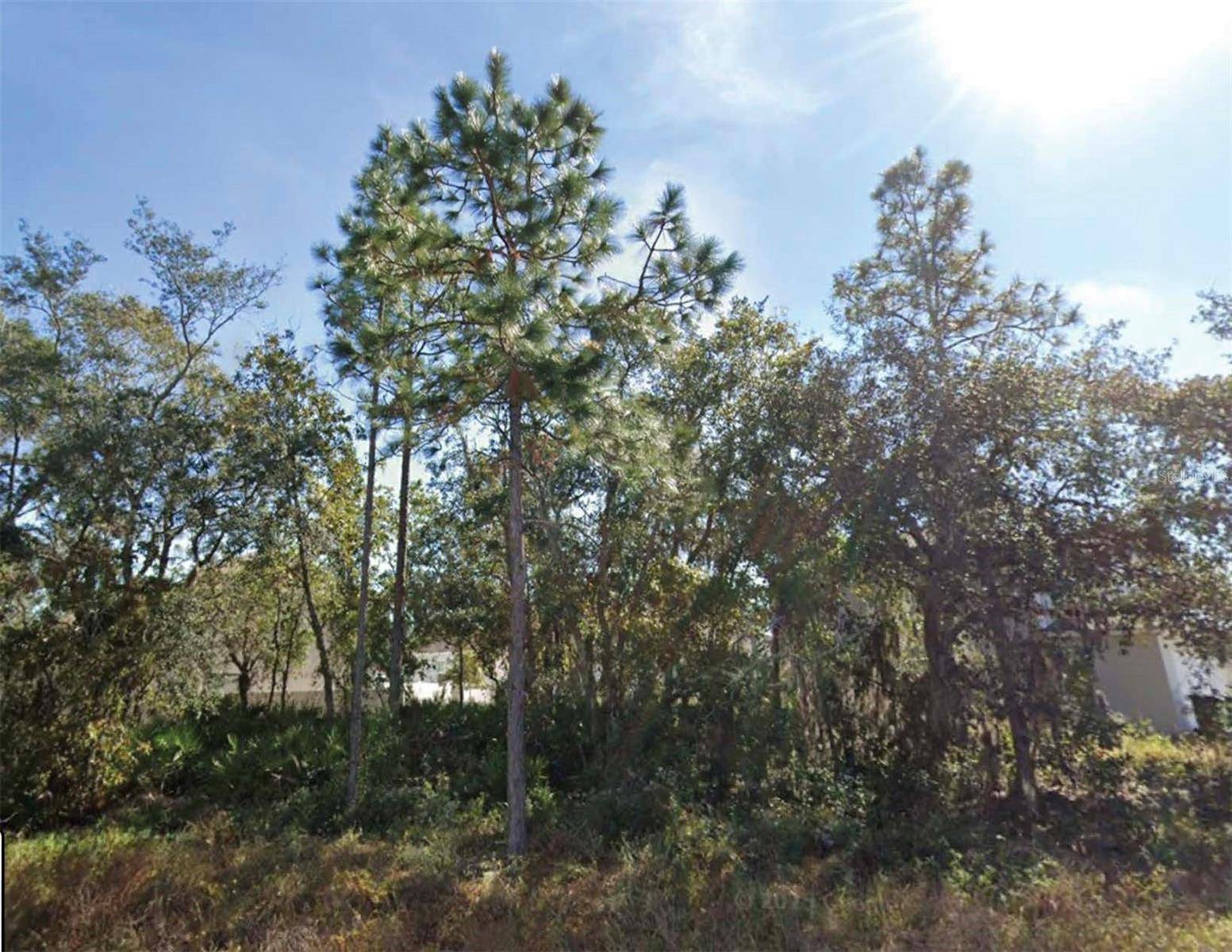 1626 PILCHARD CT, Poinciana, FL 34759