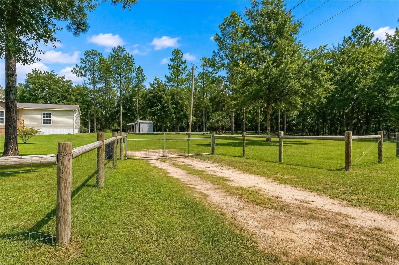 13711 NE 8TH ST, Williston, FL 32696