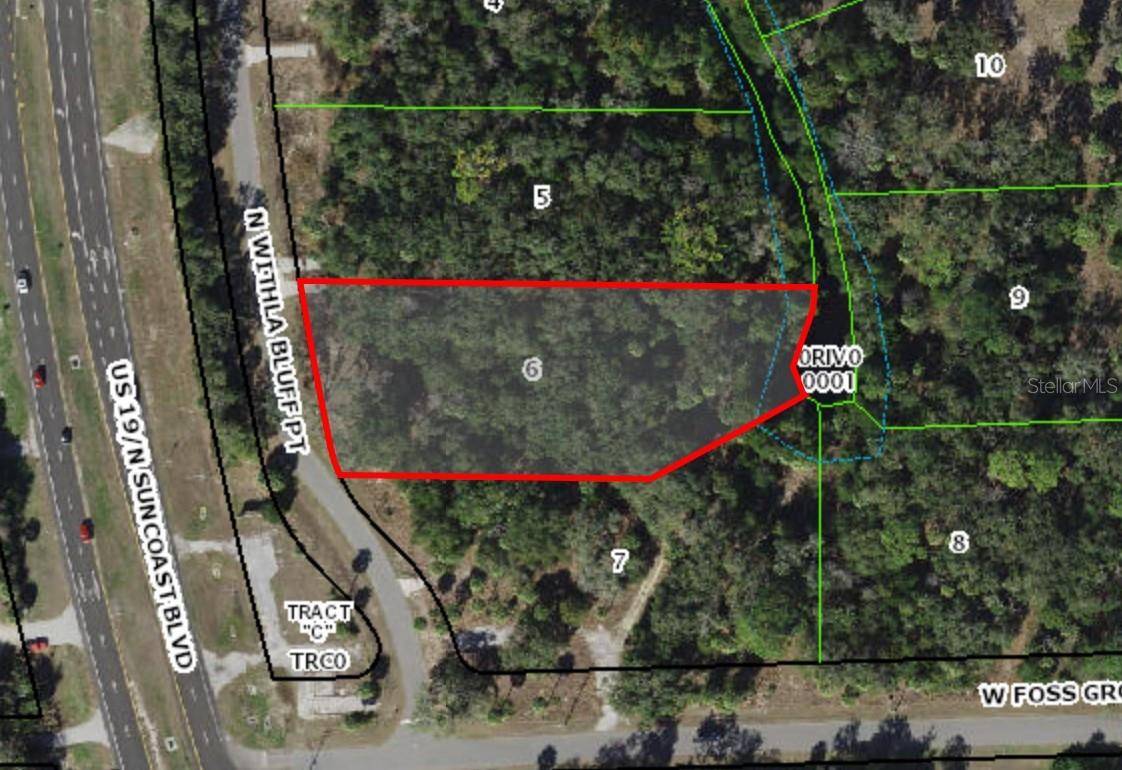11043 N WITHLA BLUFF PT, Inglis, FL 34449