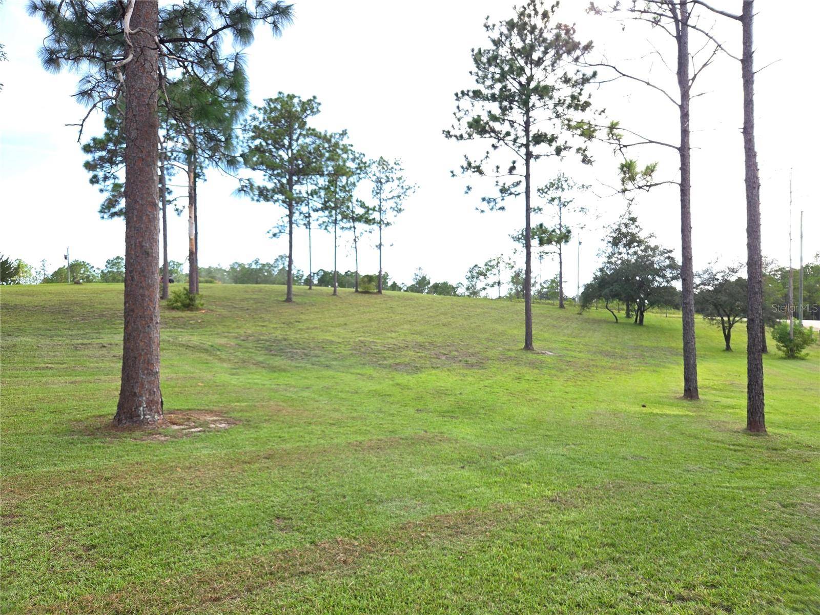 13030 SE 21ST PL, Morriston, FL 32668