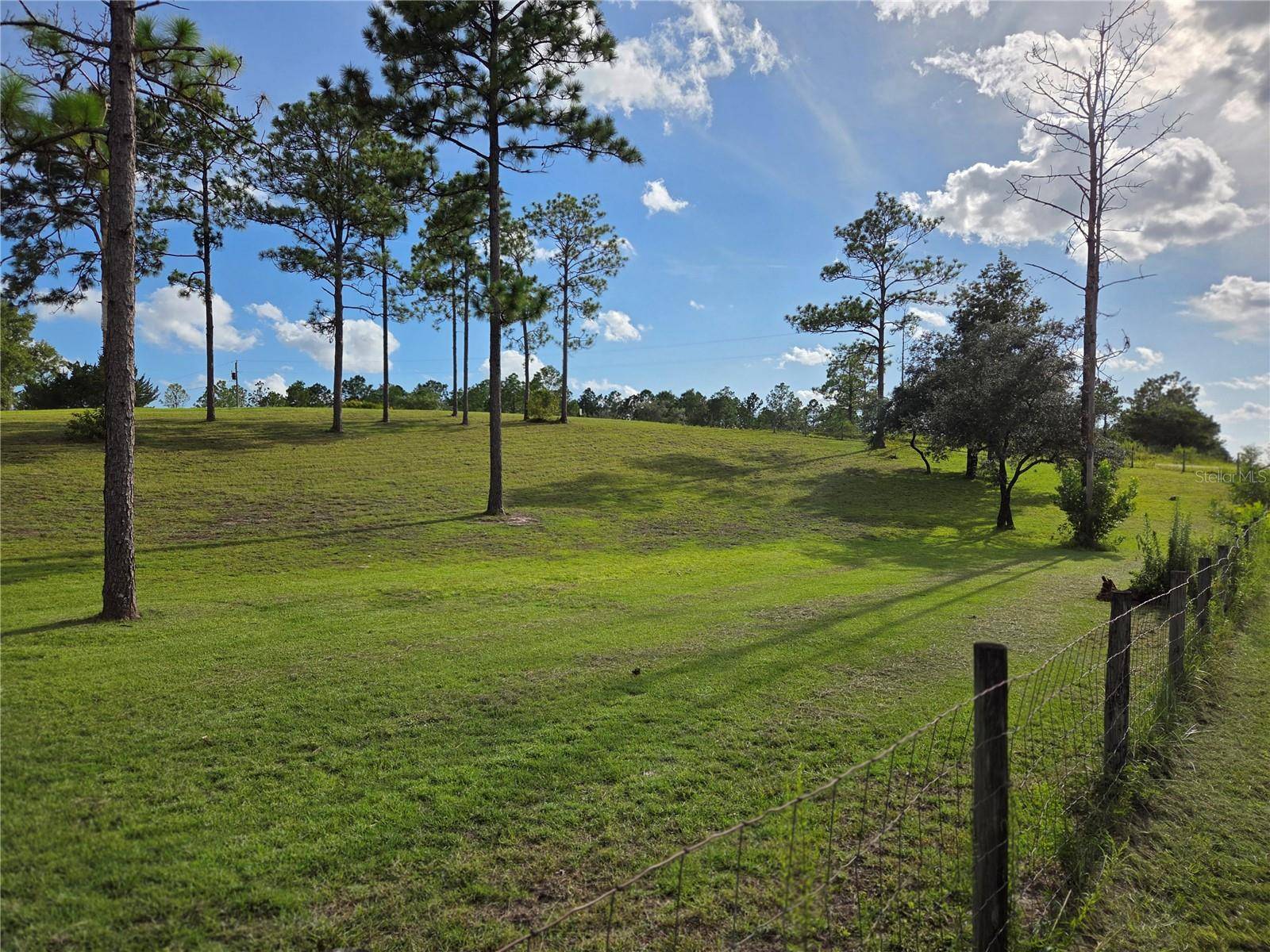 13030 SE 21ST PL, Morriston, FL 32668