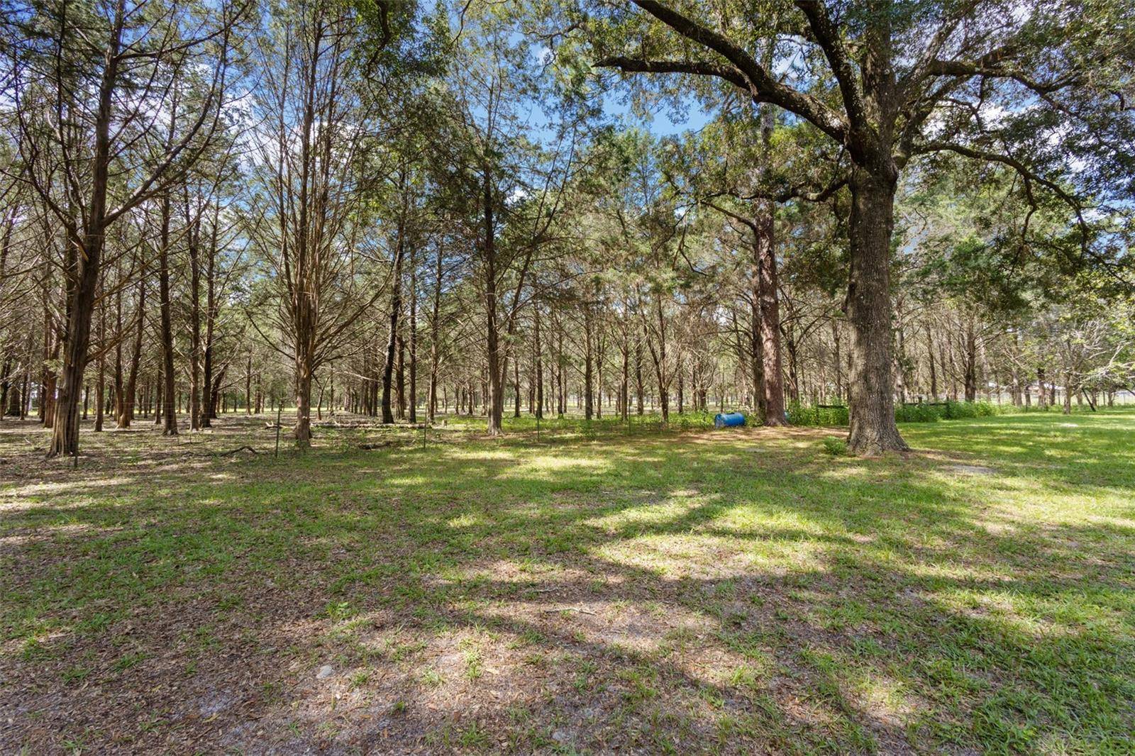 5581 NE 157TH TER, Williston, FL 32696