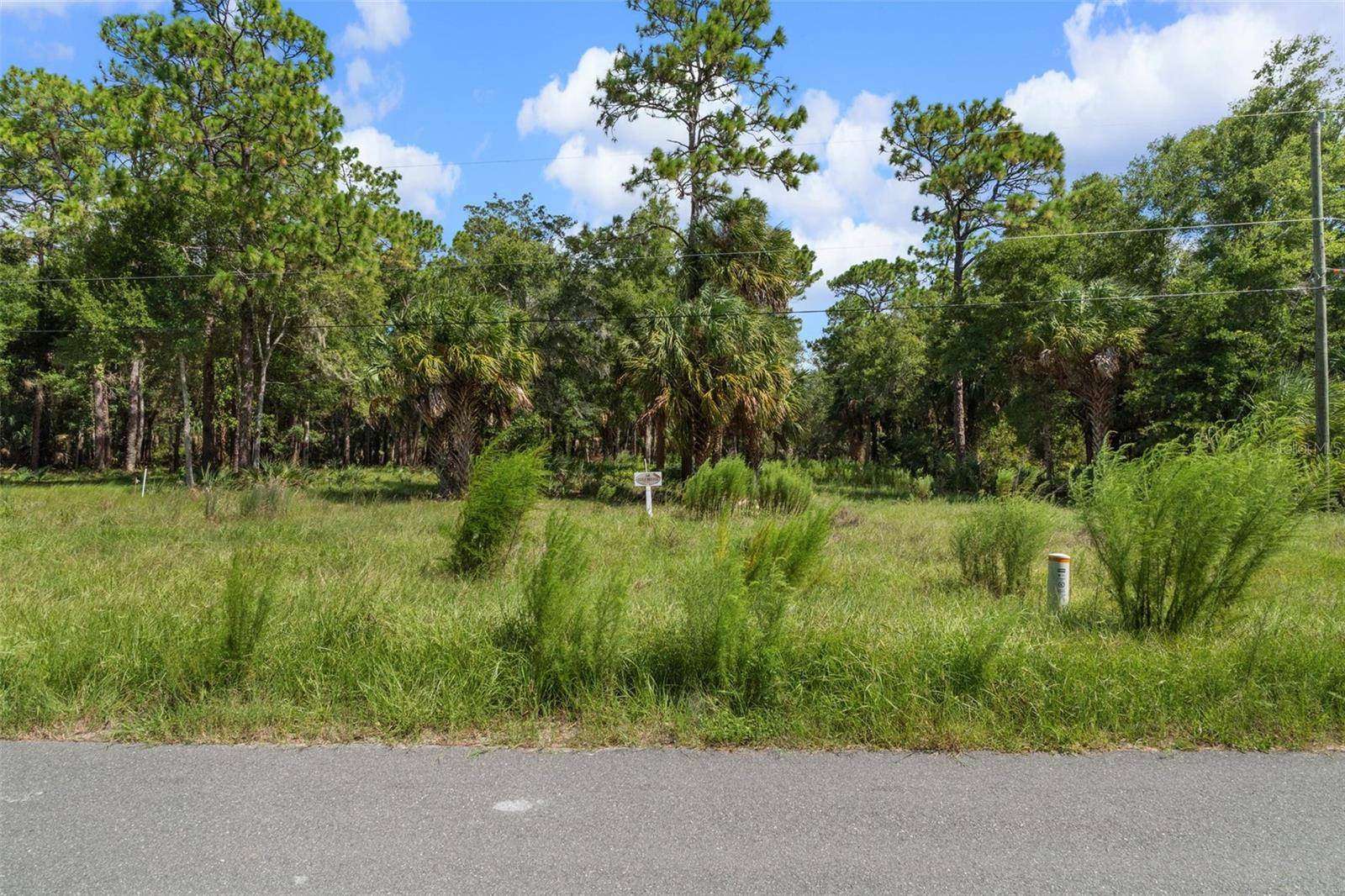 13707 W FOSS GROVES PATH, Inglis, FL 34449