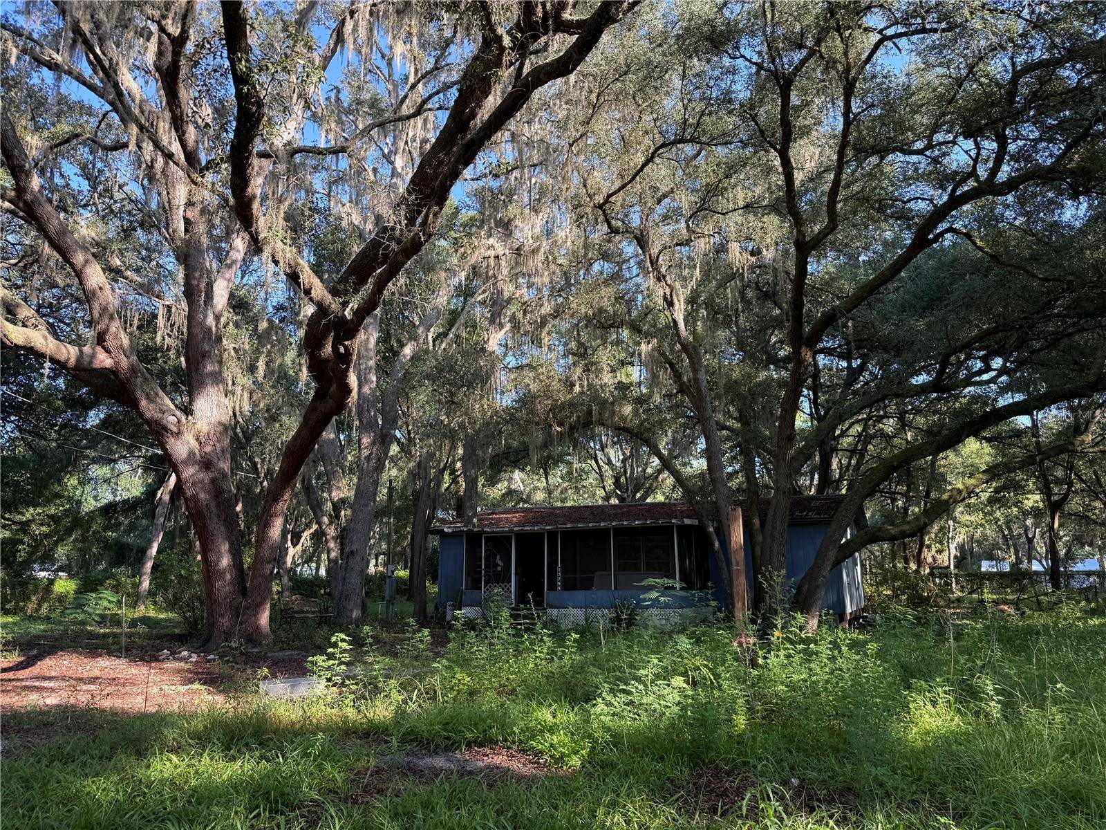 13799 NE 47TH AVE, Anthony, FL 32617