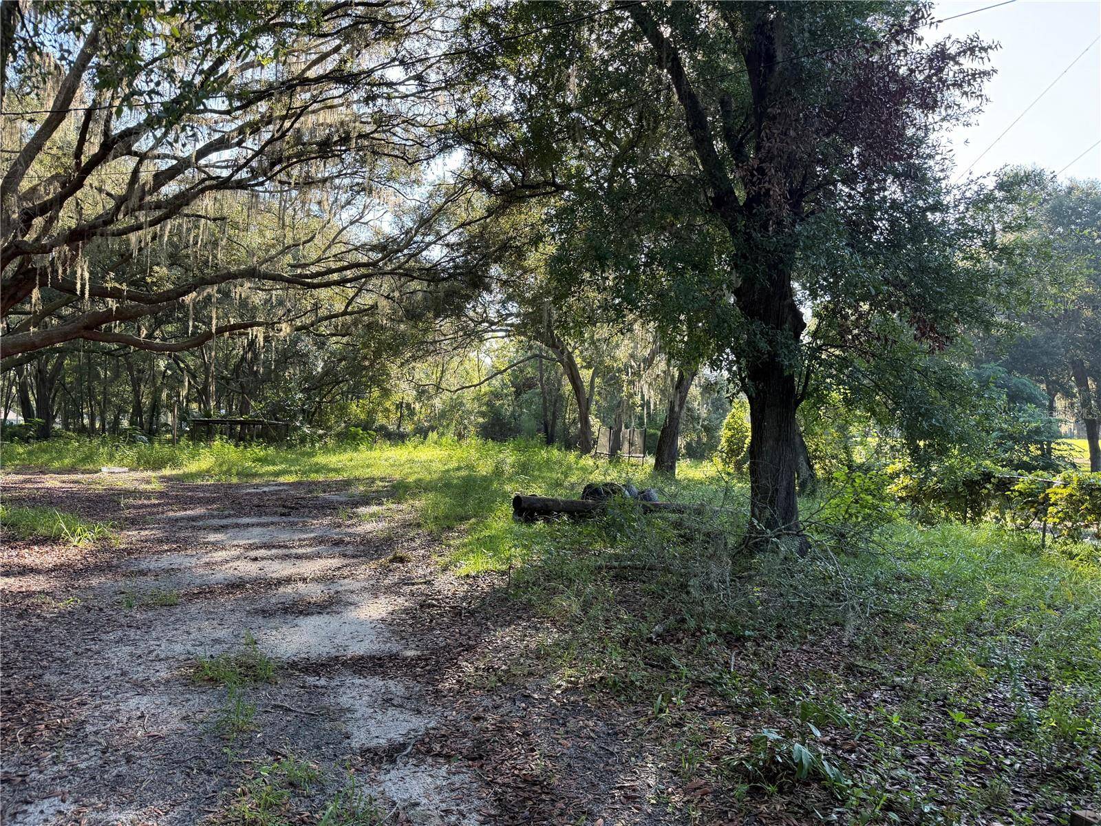 13799 NE 47TH AVE, Anthony, FL 32617