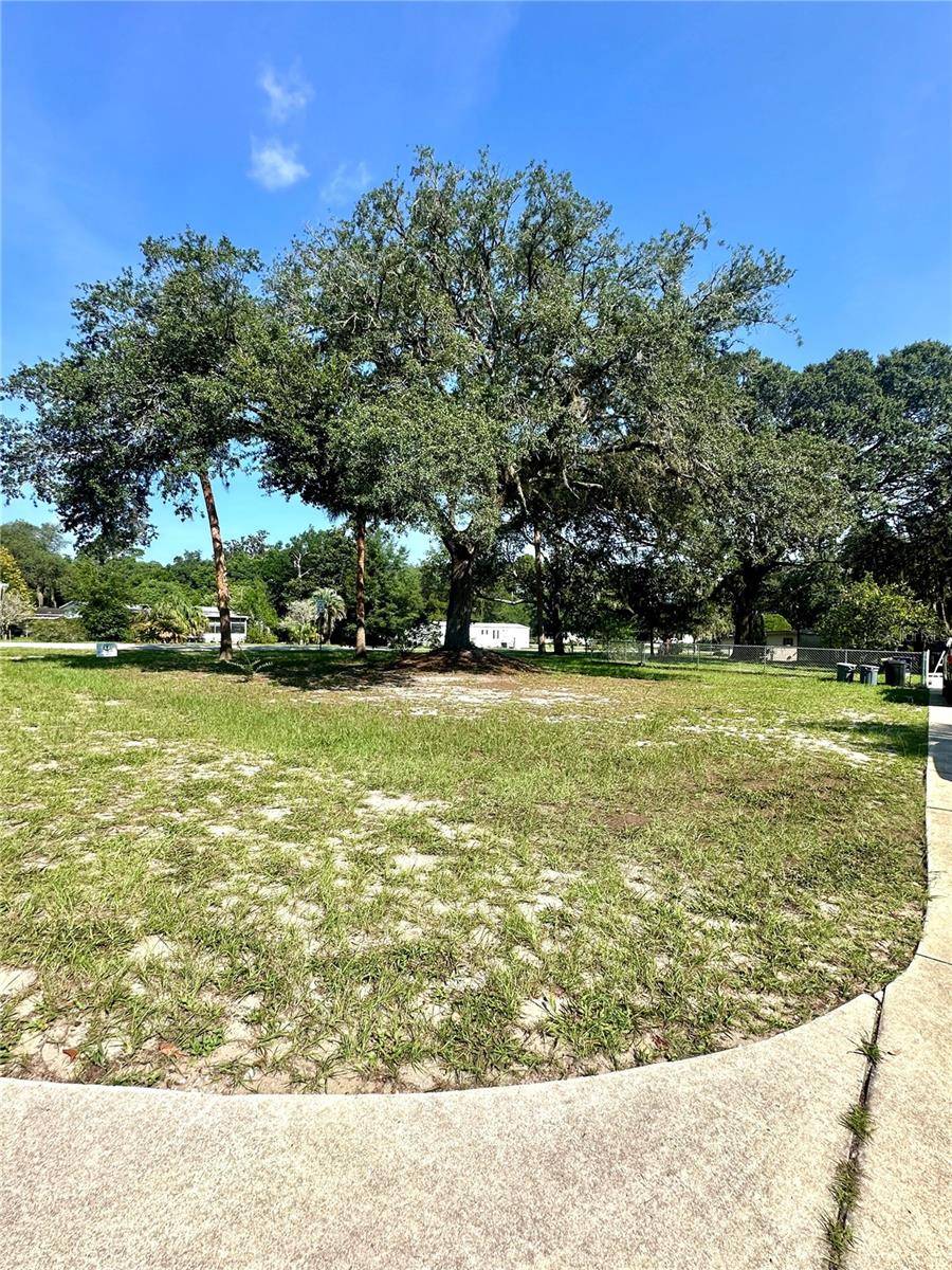 202 ASH ST, Interlachen, FL 32148