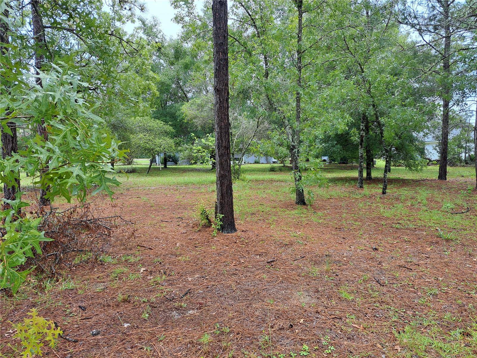 2692 W HAMLET PL, Dunnellon, FL 34433