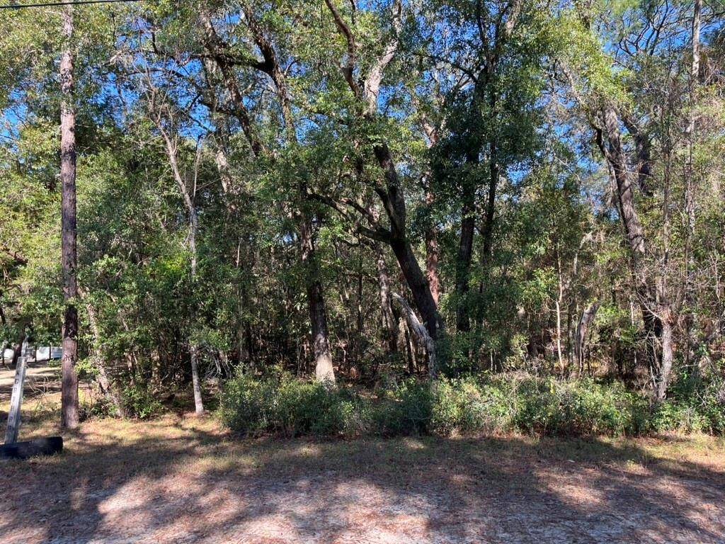 NORTH RD, Altoona, FL 32702