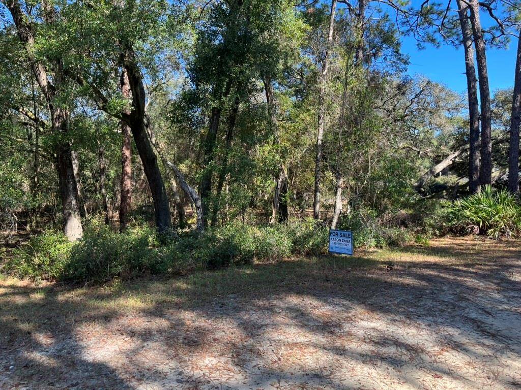 NORTH RD, Altoona, FL 32702