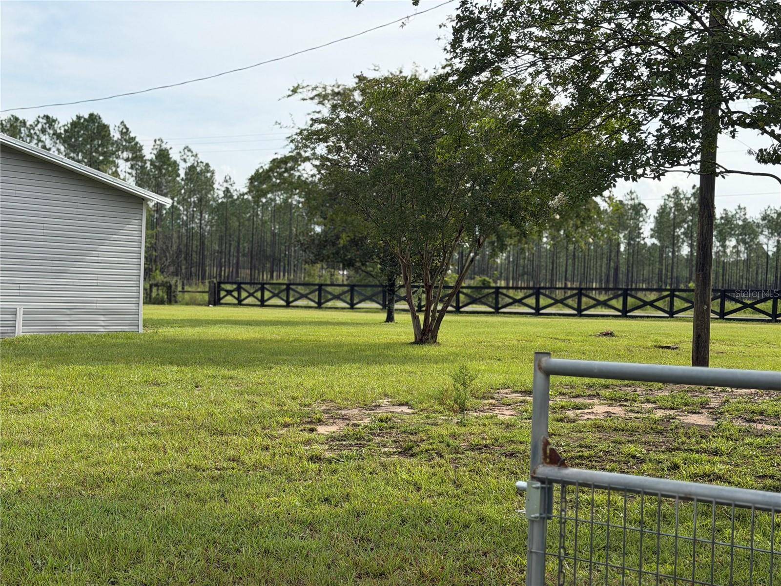 13991 NE 10TH ST, Williston, FL 32696