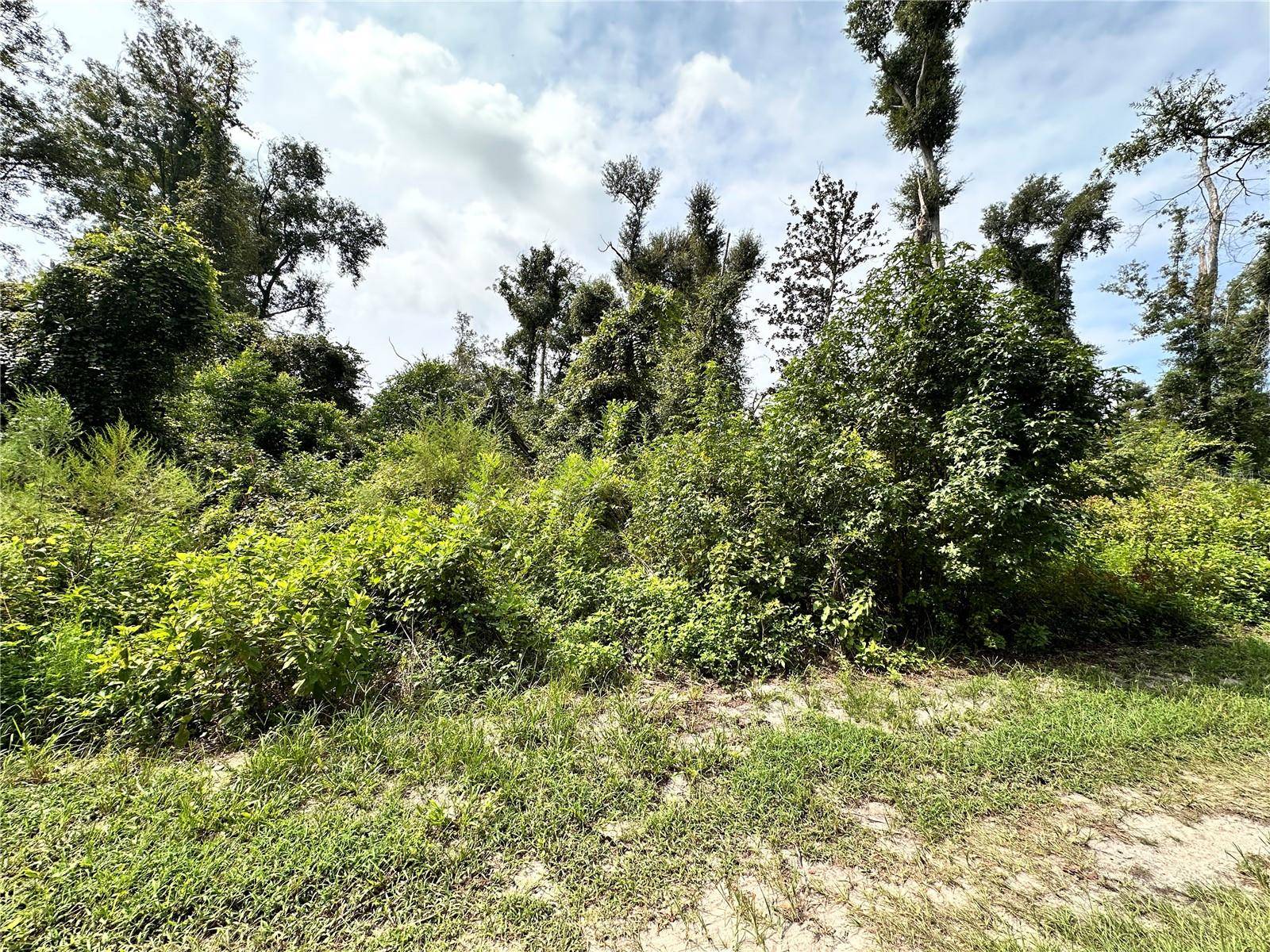 NW WEST SOUTH DR, Mayo, FL 32066