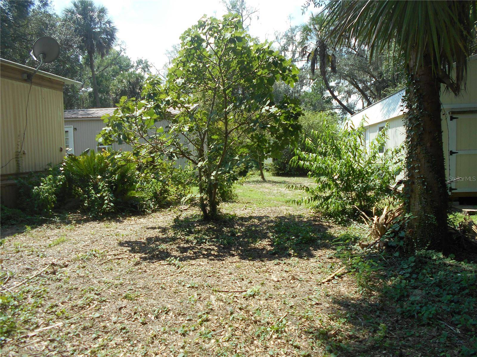 18800 NE 248TH TER, Fort Mc Coy, FL 32134
