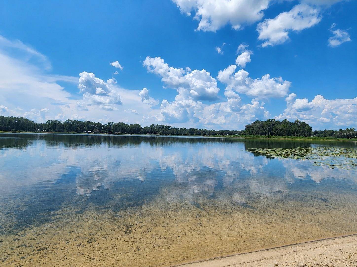 21994 NE 106TH AVE, Fort Mc Coy, FL 32134