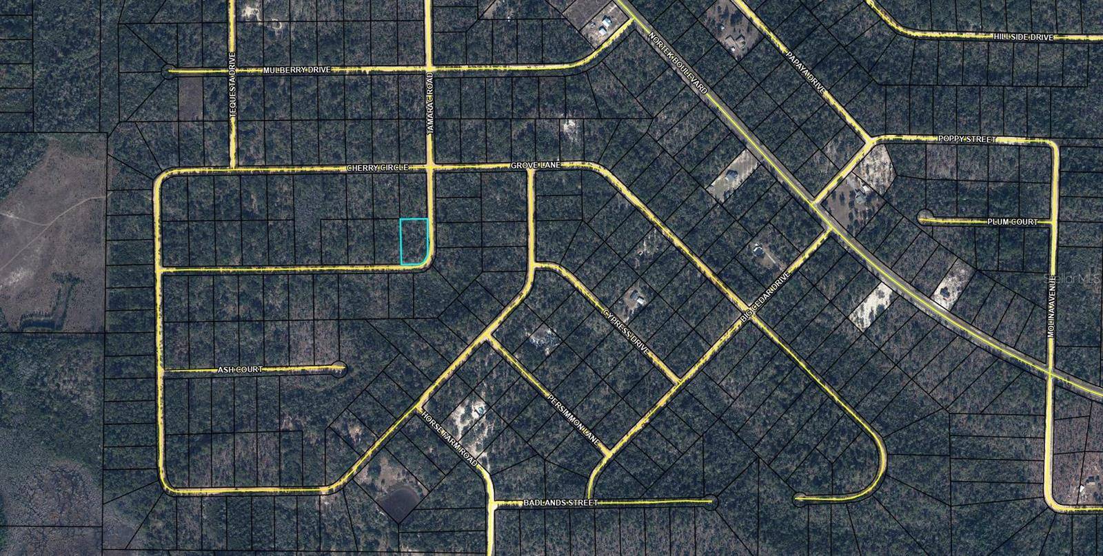 TBD TAMARAC RD, Marianna, FL 32448