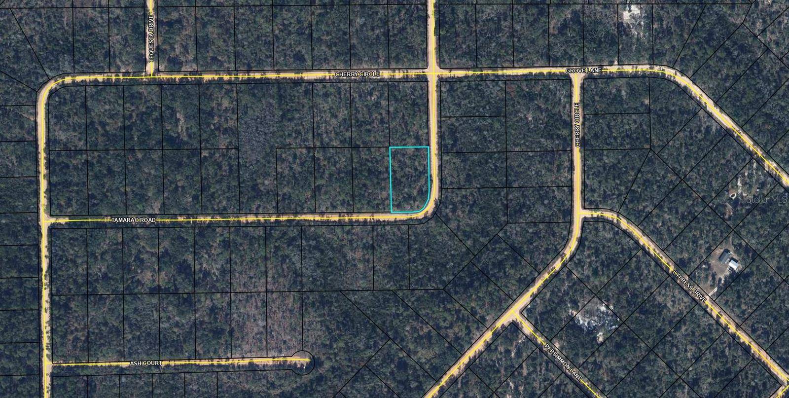 TBD TAMARAC RD, Marianna, FL 32448