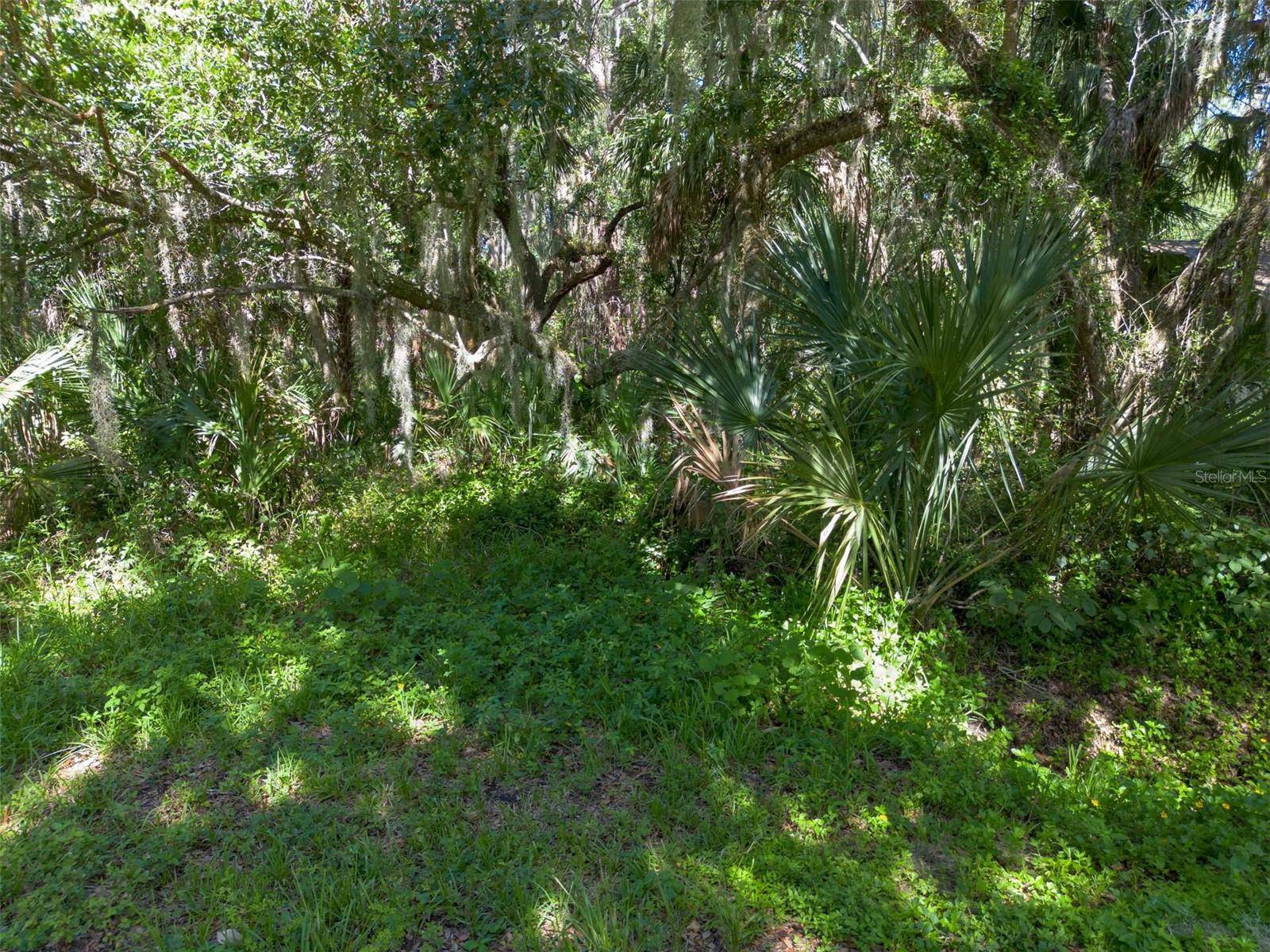 BEACH PARKWAY, Lake Wales, FL 33898