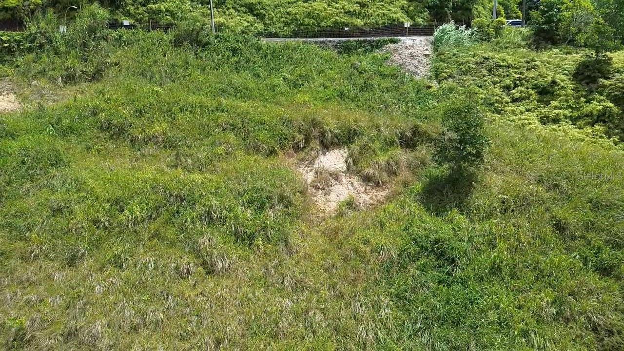 PR 785 KM 5.0, Aguas Buenas, PR 00703