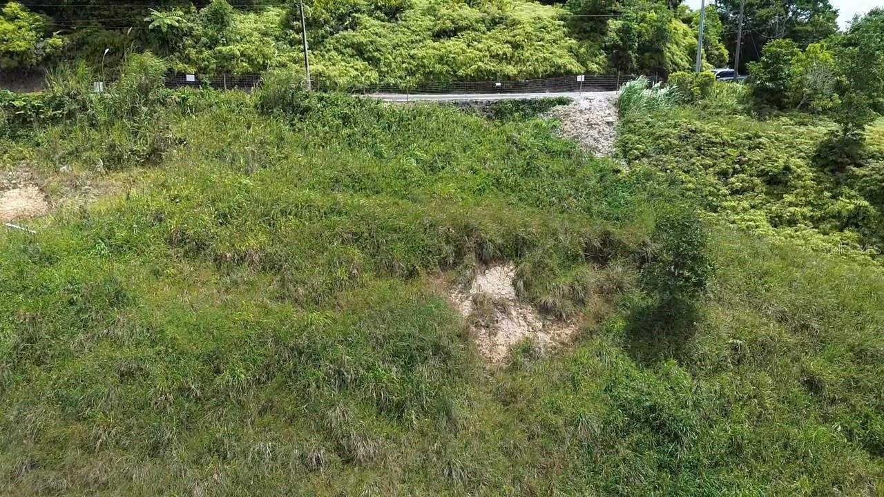 PR 785 KM 5.0, Aguas Buenas, PR 00703