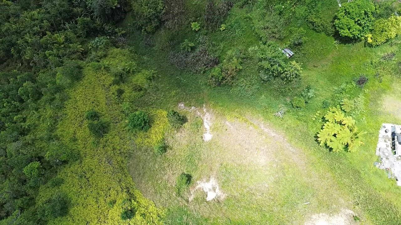 PR 785 KM 5.0, Aguas Buenas, PR 00703