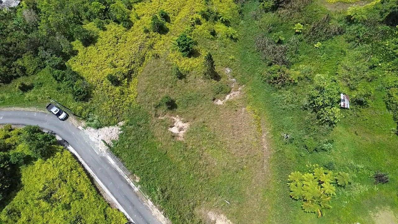 PR 785 KM 5.0, Aguas Buenas, PR 00703