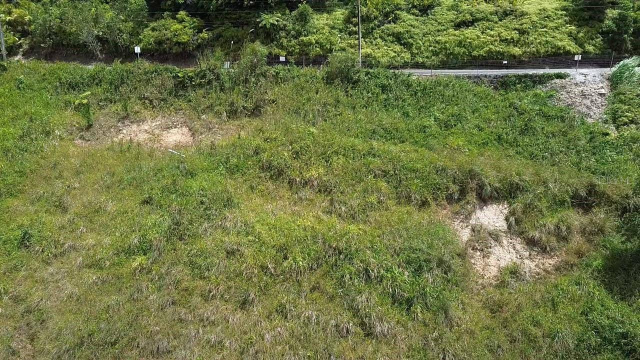 PR 785 KM 5.0, Aguas Buenas, PR 00703
