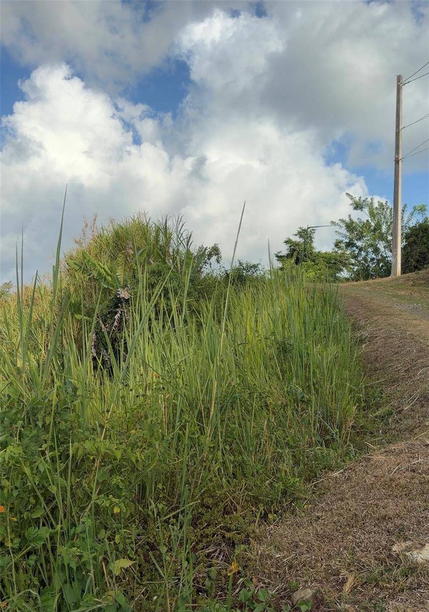 PR 785 KM 2.0 #4, Caguas, PR 00727