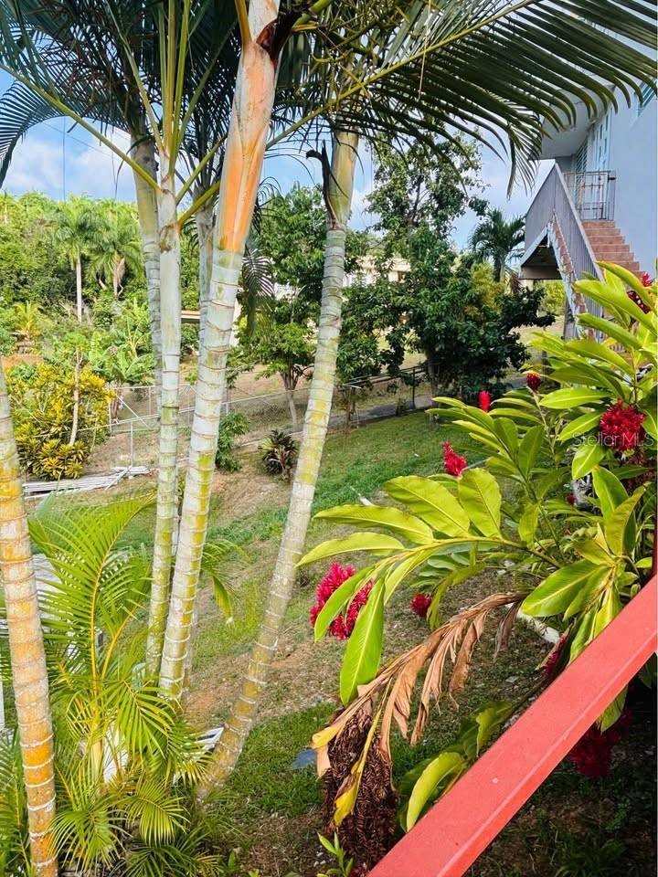 Address not disclosed, Bayamon, PR 00956