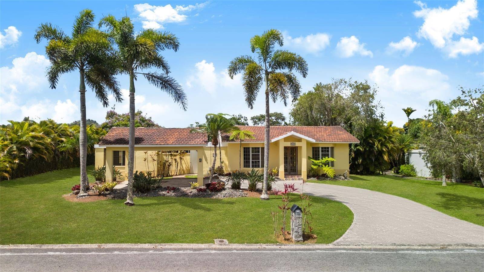 383 CAMINO LOS FLAMBOYANES, Cidra, PR 00739