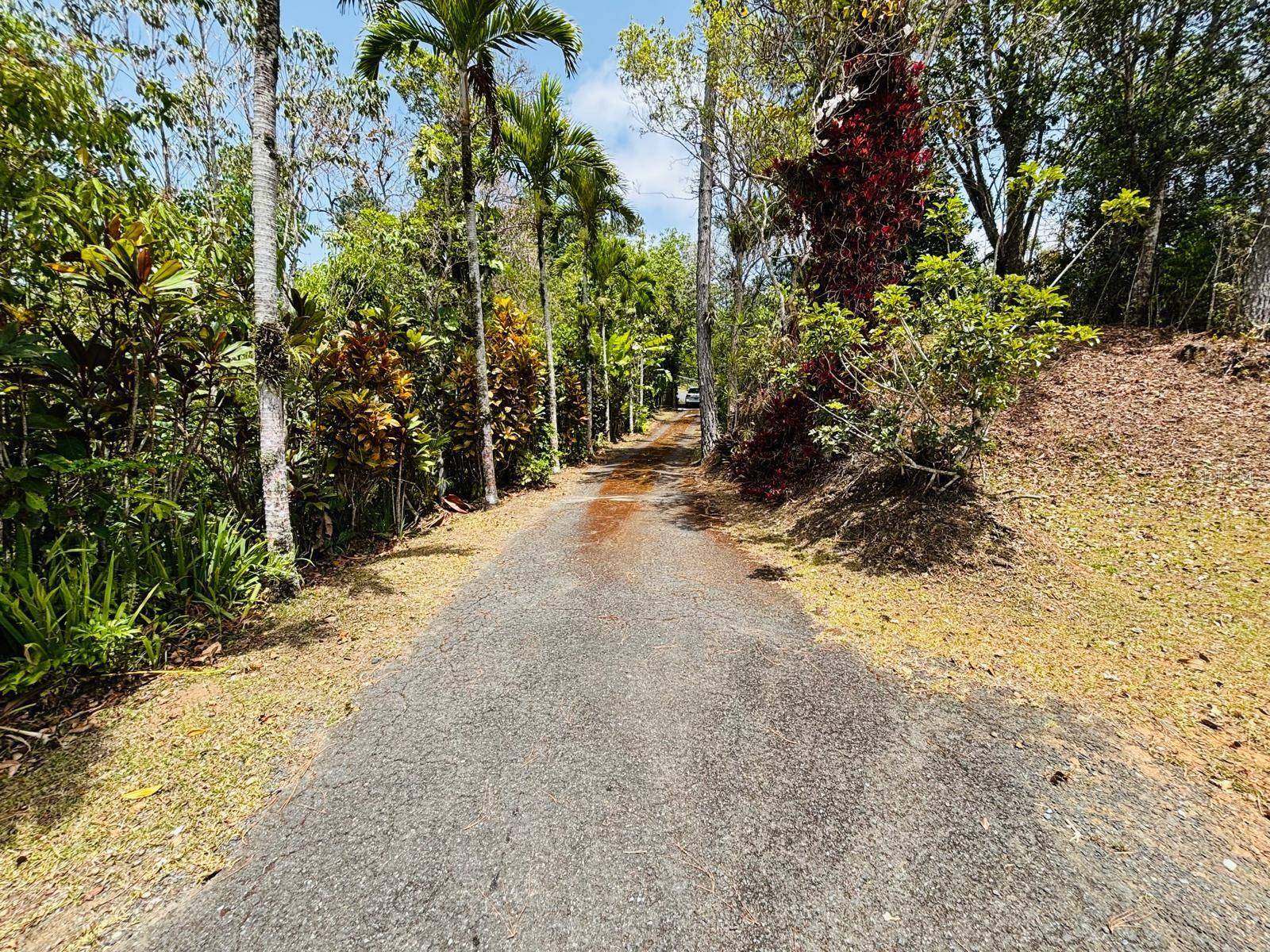 CARR 1 RUTA 715KM 3.5 LOTE 3, Cayey, PR 00736