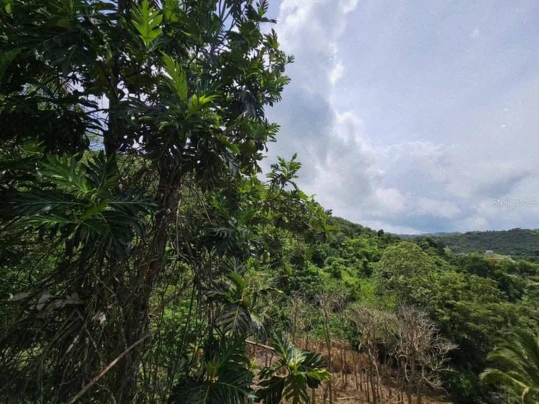 7730 km02 HONDURAS, Cidra, PR 00739
