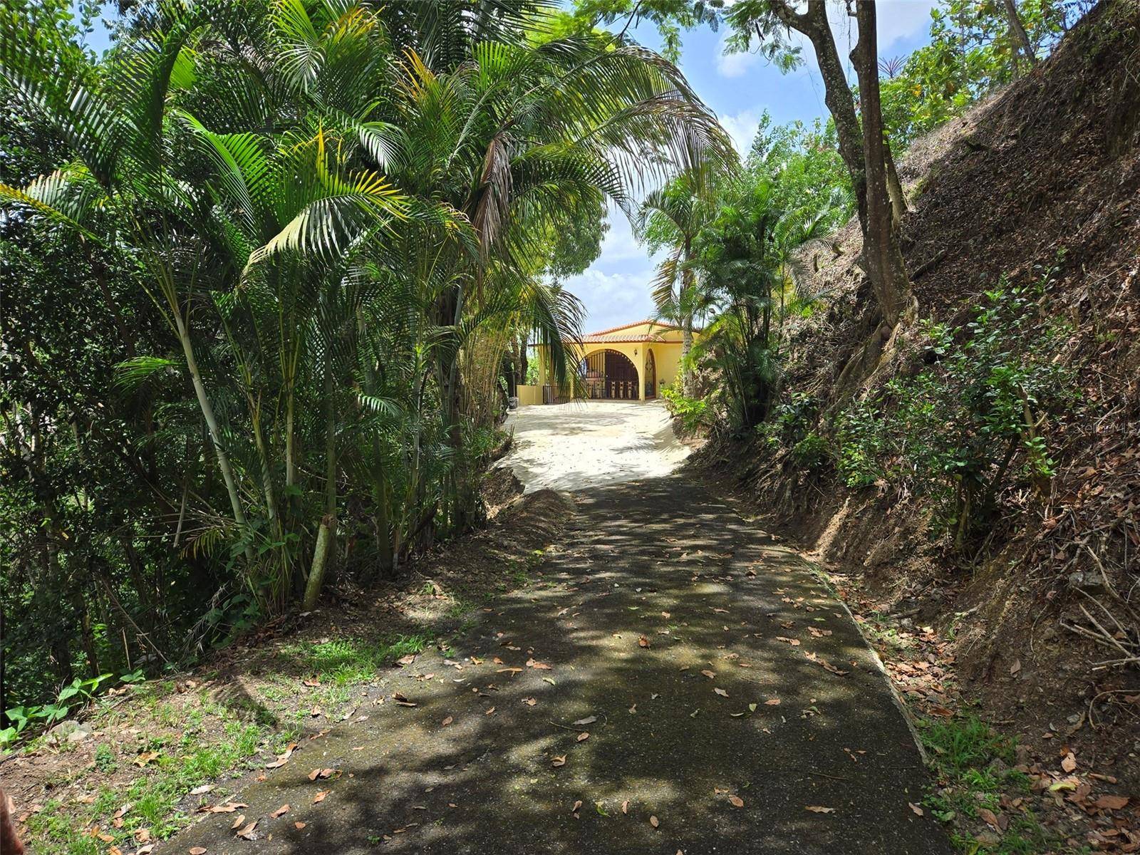 PR 156 KM. 23.9 RIO HONDO WARD, Comerio, PR 00782