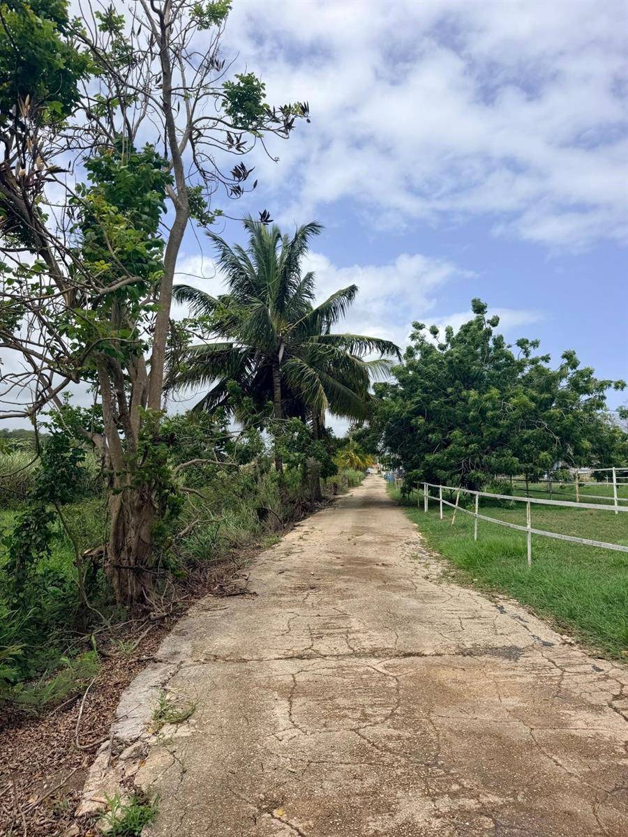 CARR 690 KM 3.2 BO SABANA HOYOS, Vega Alta, PR 00692