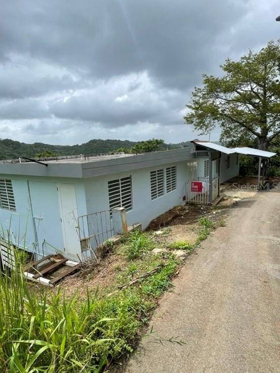 SR-146 BO. FRONTON, Ciales, PR 00638