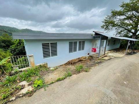 SR-146 BO. FRONTON, Ciales, PR 00638