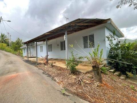 SR-146 BO. FRONTON, Ciales, PR 00638