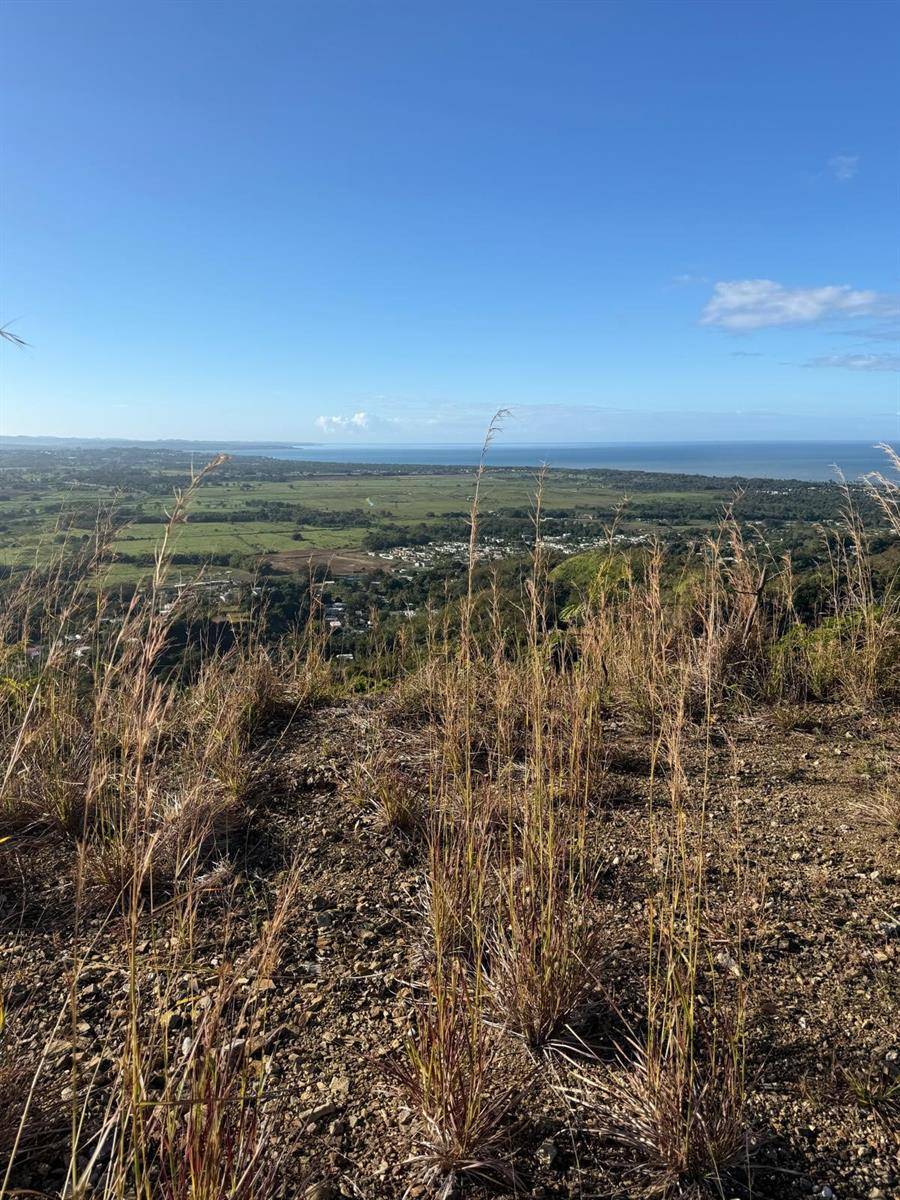 Carr. 402, Km. 5.0 BARRIO PIÑALES, Anasco, PR 00610