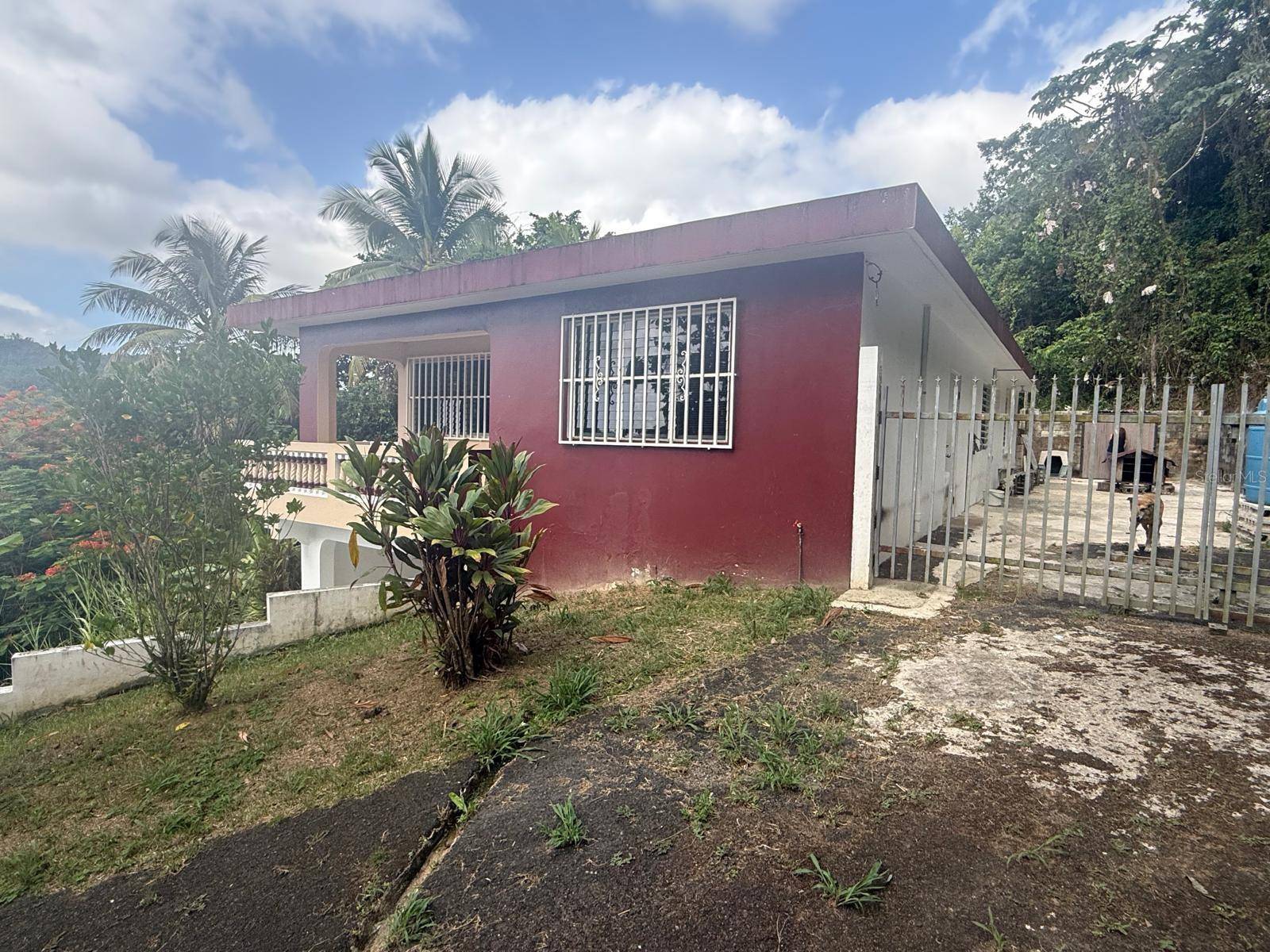 BARRIO SANTA OLAYA SECTOR COLLORES, Bayamon, PR 00956