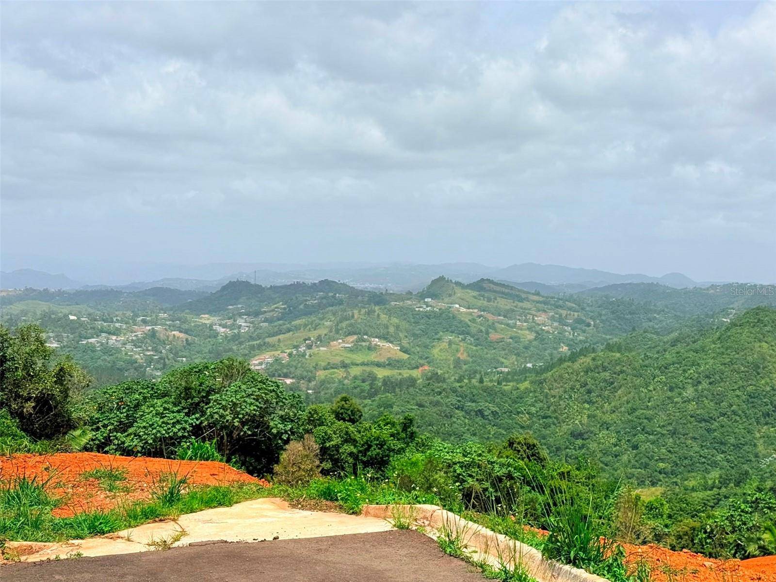 PR 770 KM 2.9 PARCELA 3 PALO HINCADO, Barranquitas, PR 00794