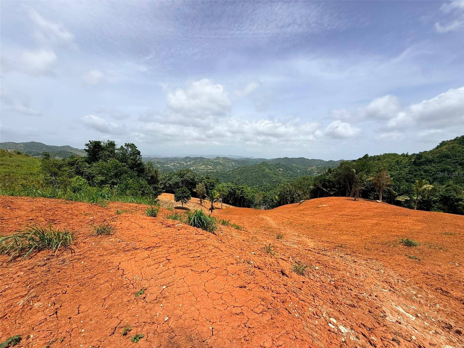 PR 770 KM 2.9 PARCELA 3 PALO HINCADO, Barranquitas, PR 00794