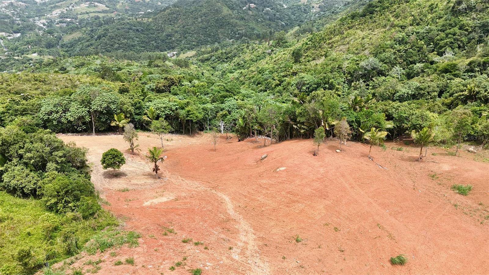 PR 770 KM 2.9 PARCELA 3 PALO HINCADO, Barranquitas, PR 00794