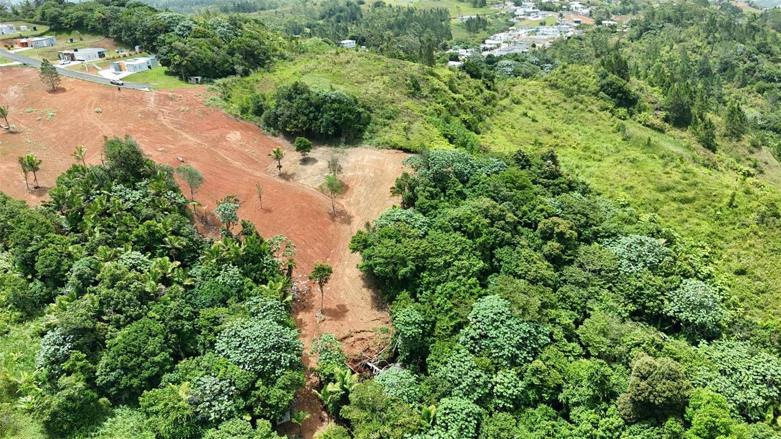 PR 770 KM 2.9 PARCELA 3 PALO HINCADO, Barranquitas, PR 00794